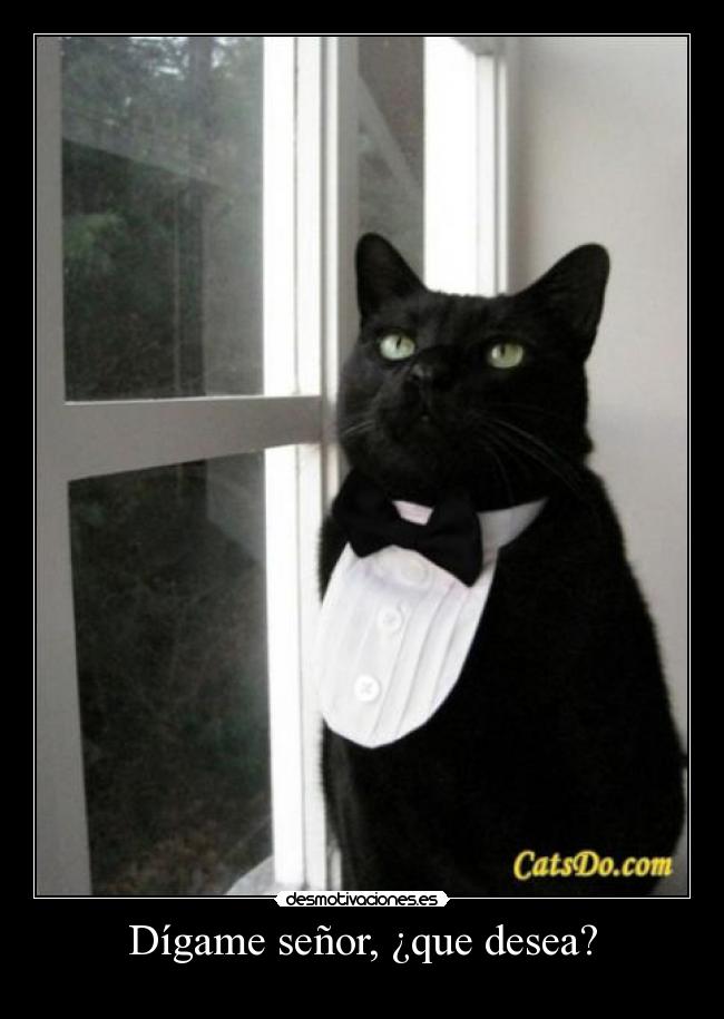 Dígame señor, ¿que desea? -