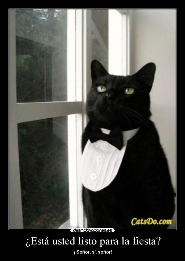 ¿Está usted listo para la fiesta? - ¡ Señor, sí, señor!