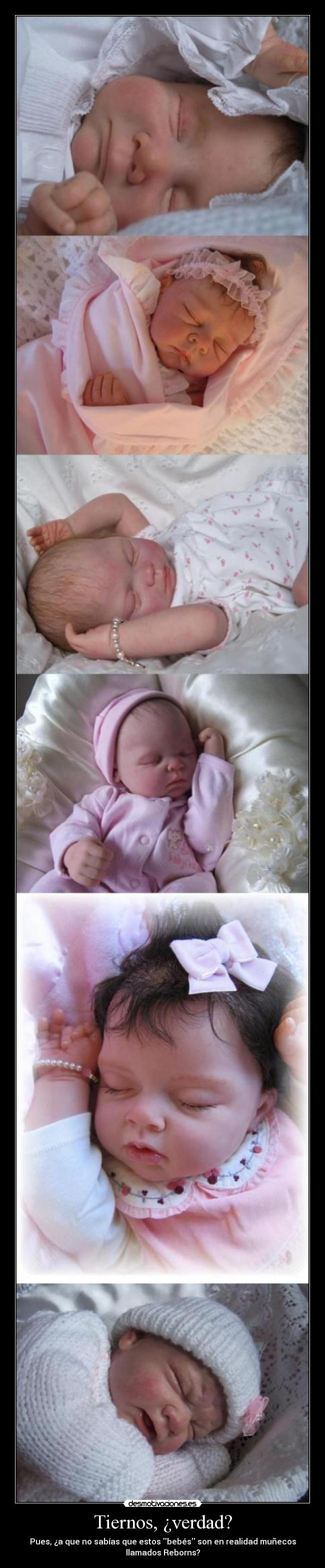 Tiernos, ¿verdad? - 