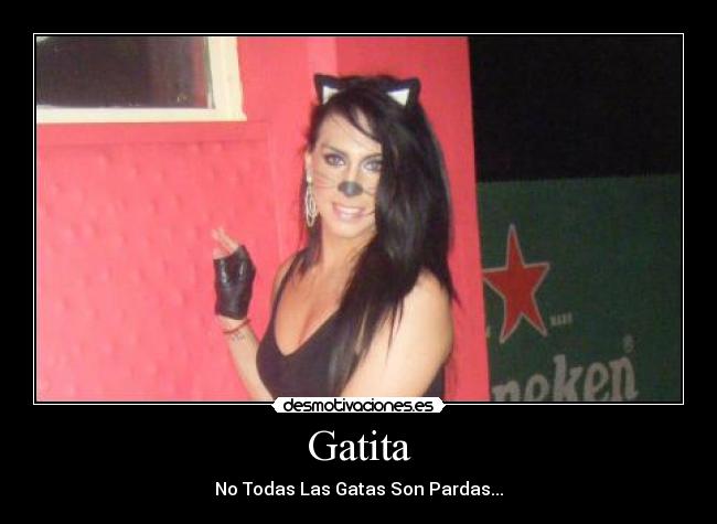 Gatita - 