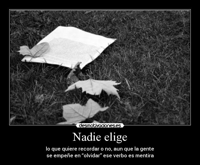 Nadie elige - 