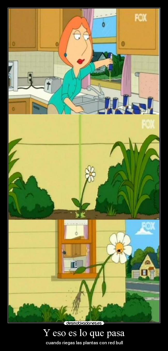 Y eso es lo que pasa - 