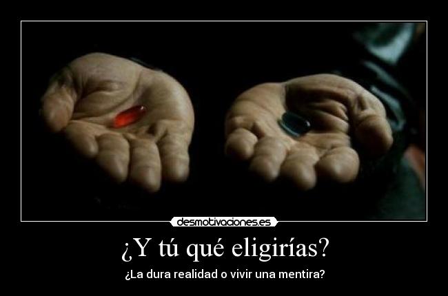 ¿Y tú qué eligirías? - 