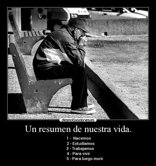 Un resumen de nuestra vida. -