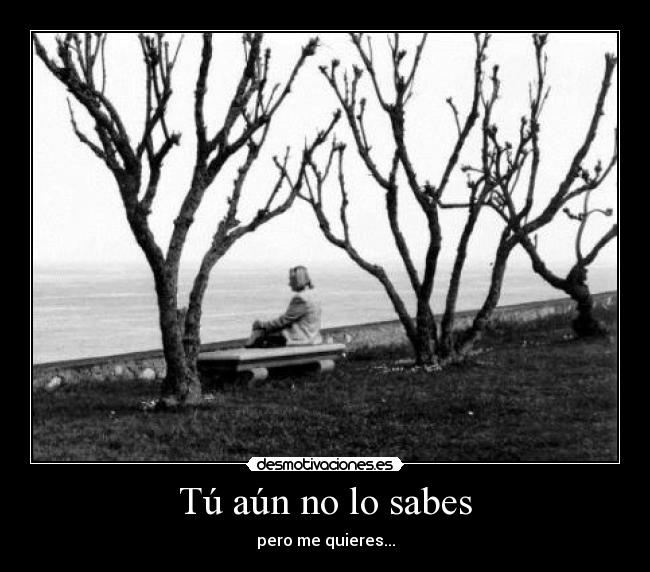 Tú aún no lo sabes -