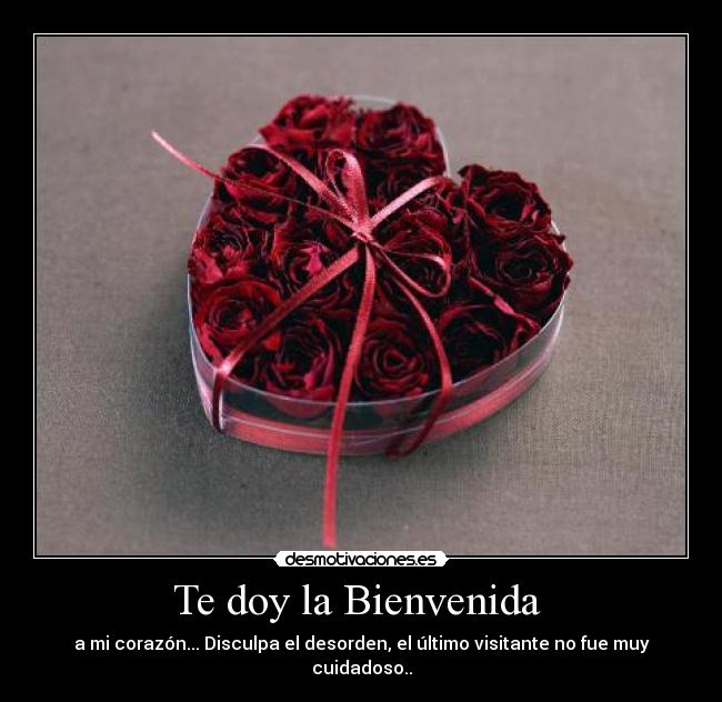 Te doy la Bienvenida -