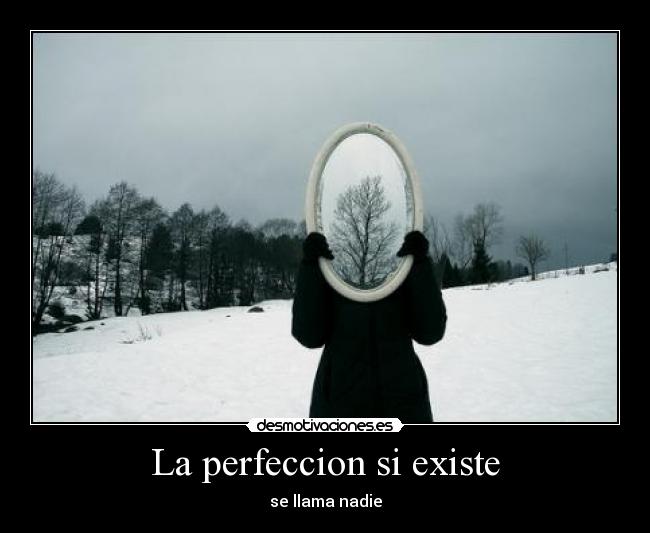 La perfeccion si existe - 