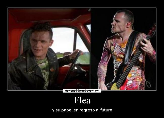 Flea -
