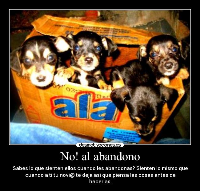No! al abandono - Sabes lo que sienten ellos cuando les abandonas? Sienten lo mismo que
cuando a ti tu novi@ te deja asi que piensa las cosas antes de
hacerlas.