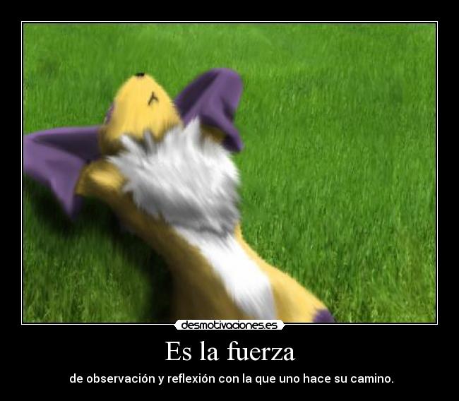 Es la fuerza - 