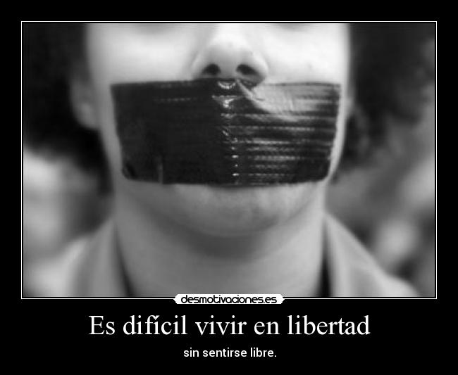 carteles libertad habeas corpus libertad desmotivaciones