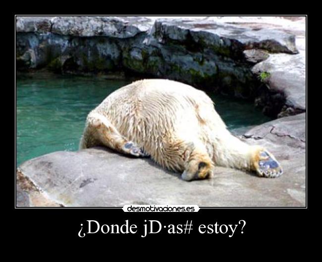 ¿Donde jD·as# estoy? - 