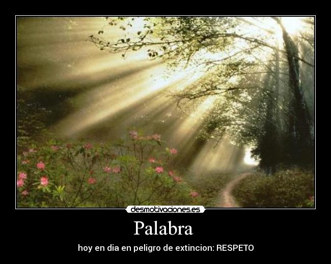 Palabra  - hoy en dia en peligro de extincion: RESPETO