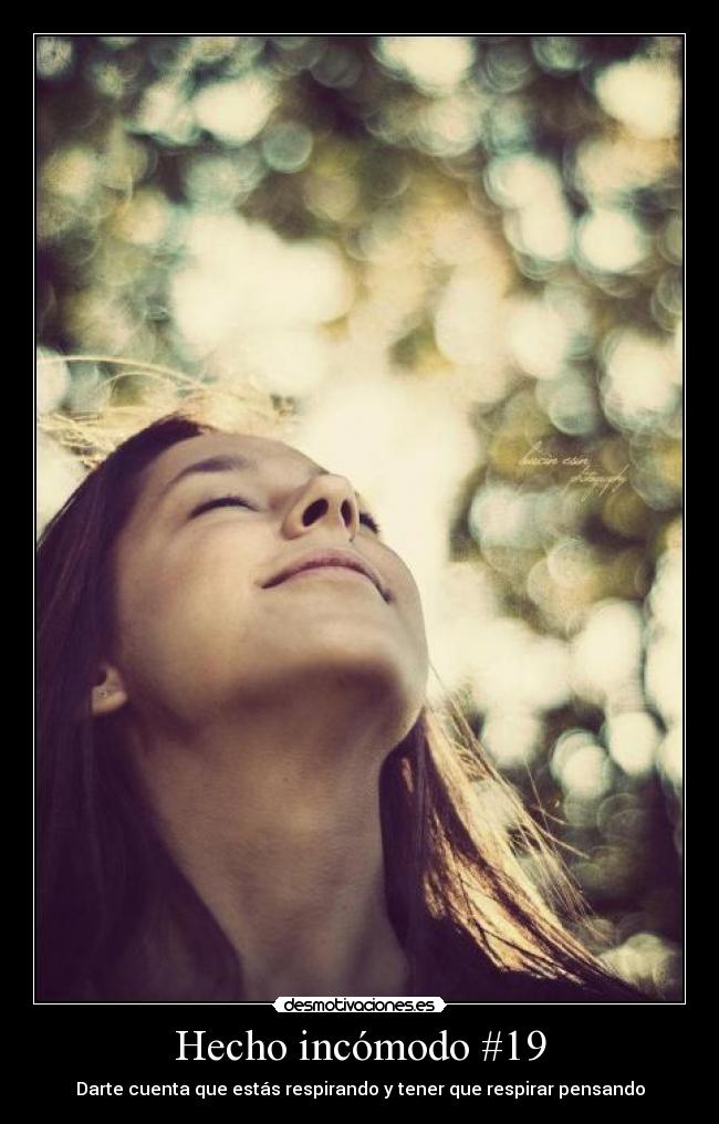 Hecho incómodo #19 -