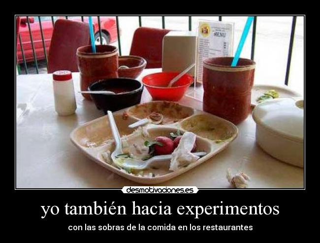 yo también hacia experimentos - con las sobras de la comida en los restaurantes