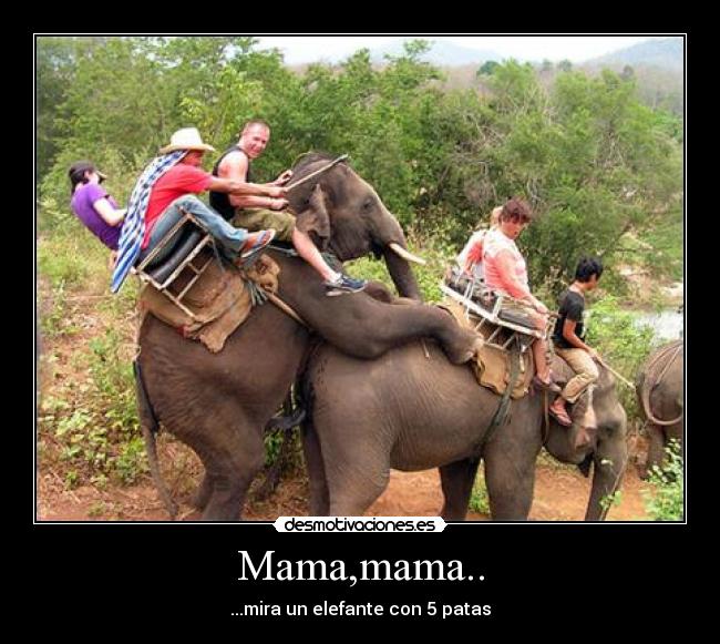 Mama,mama.. - ...mira un elefante con 5 patas