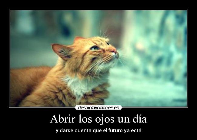Abrir los ojos un día -