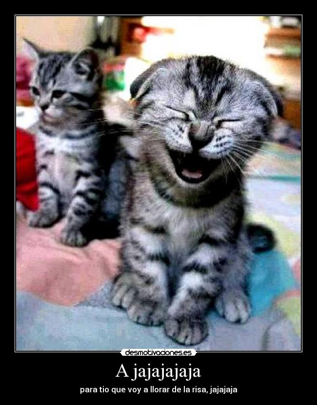 A jajajajaja - 