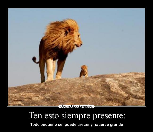 Ten esto siempre presente: -