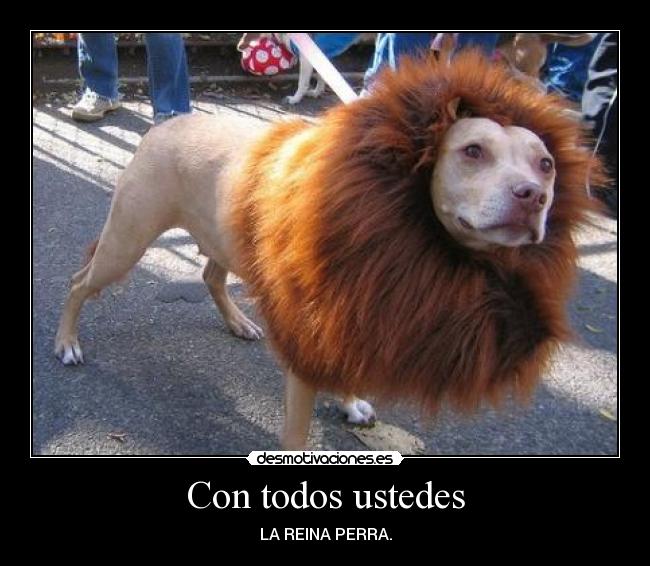 Con todos ustedes - LA REINA PERRA.