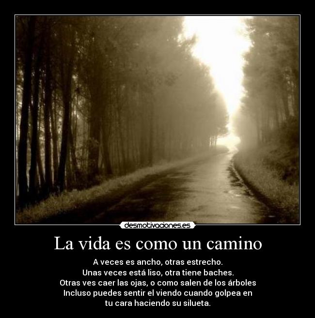 La vida es como un camino - A veces es ancho, otras estrecho.
Unas veces está liso, otra tiene baches.
Otras ves caer las ojas, o como salen de los árboles
Incluso puedes sentir el viendo cuando golpea en
tu cara haciendo su silueta.