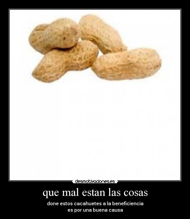 que mal estan las cosas - 