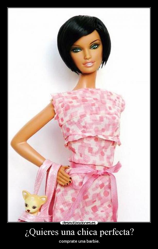 ¿Quieres una chica perfecta? -