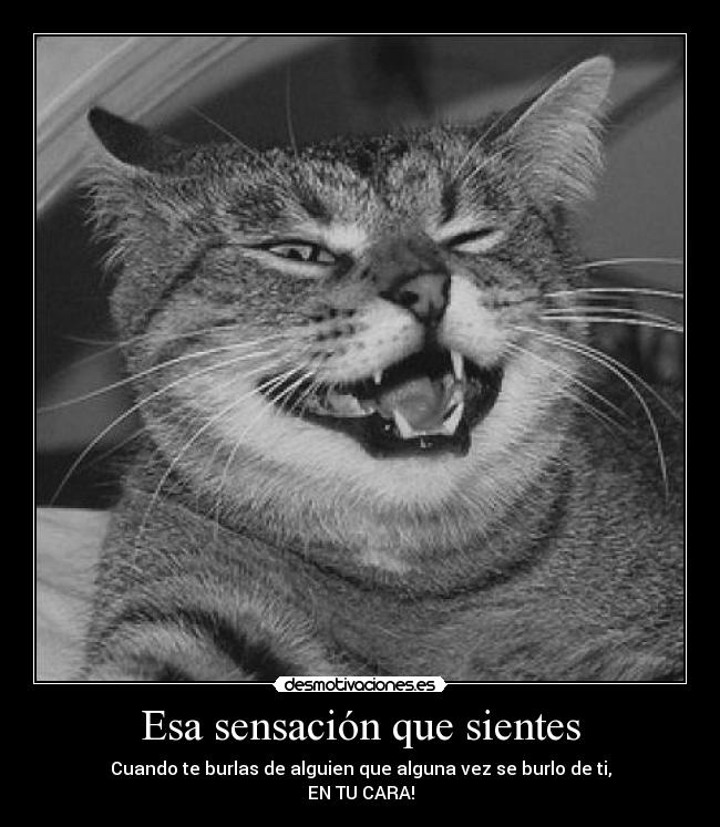 Esa sensación que sientes -