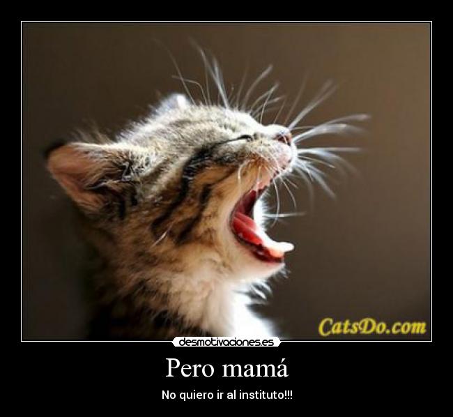 Pero mamá - No quiero ir al instituto!!!