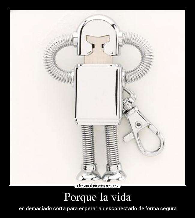 carteles vida usb vida corta porque vida segura desmotivaciones