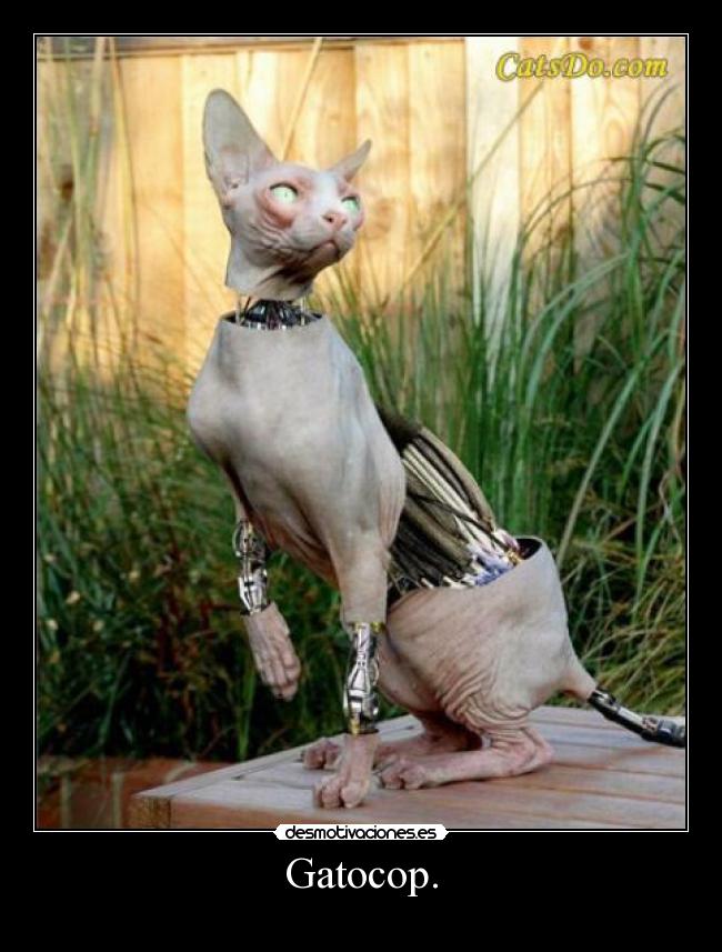 Gatocop. -