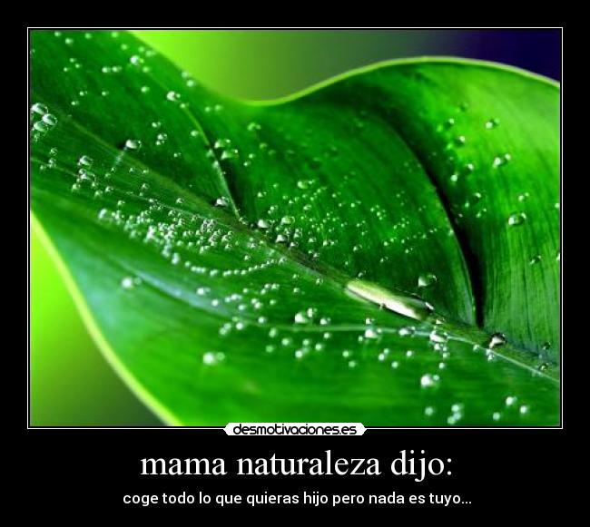 carteles naturaleza tierra madre naturaleza hoja hijo nada tuyo desmotivaciones