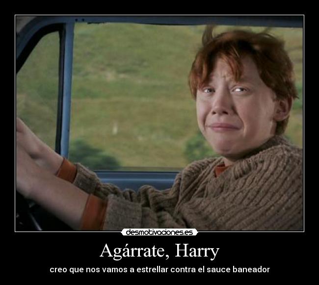 Agárrate, Harry - creo que nos vamos a estrellar contra el sauce baneador