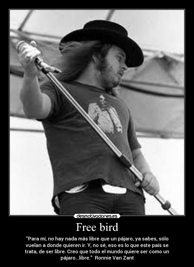 Free bird - Para mí, no hay nada más libre que un pájaro, ya sabes, sólo
vuelan a donde quieren ir. Y, no sé, eso es lo que este país se
trata, de ser libre. Creo que todo el mundo quiere ser como un
pájaro...libre.  Ronnie Van Zant