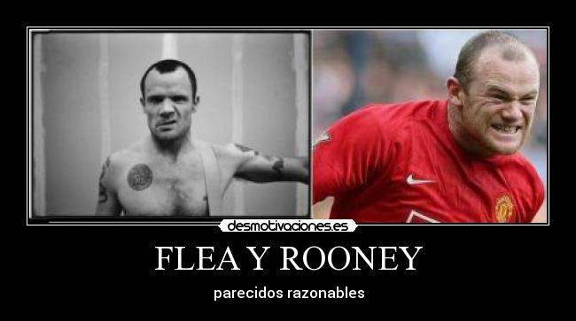 FLEA Y ROONEY - parecidos razonables