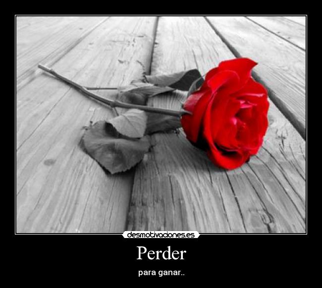 Perder - para ganar..