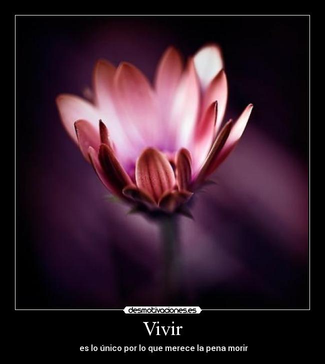 Vivir - 