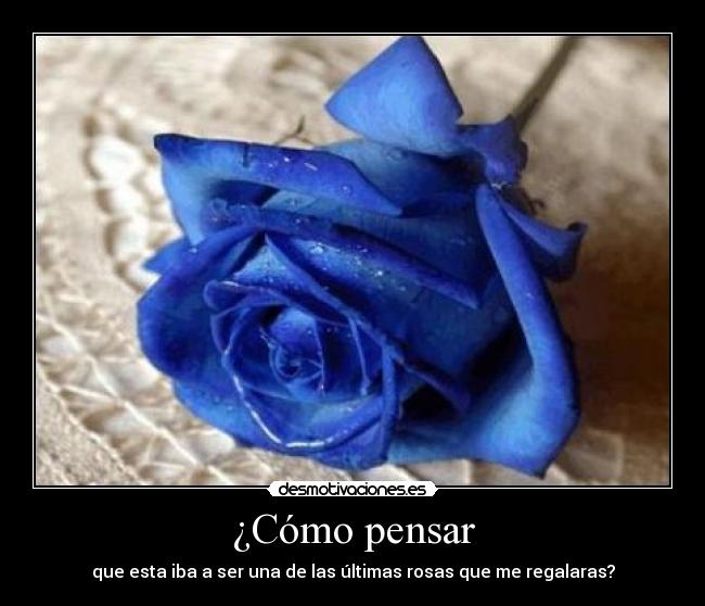 carteles rosa azul desmotivaciones