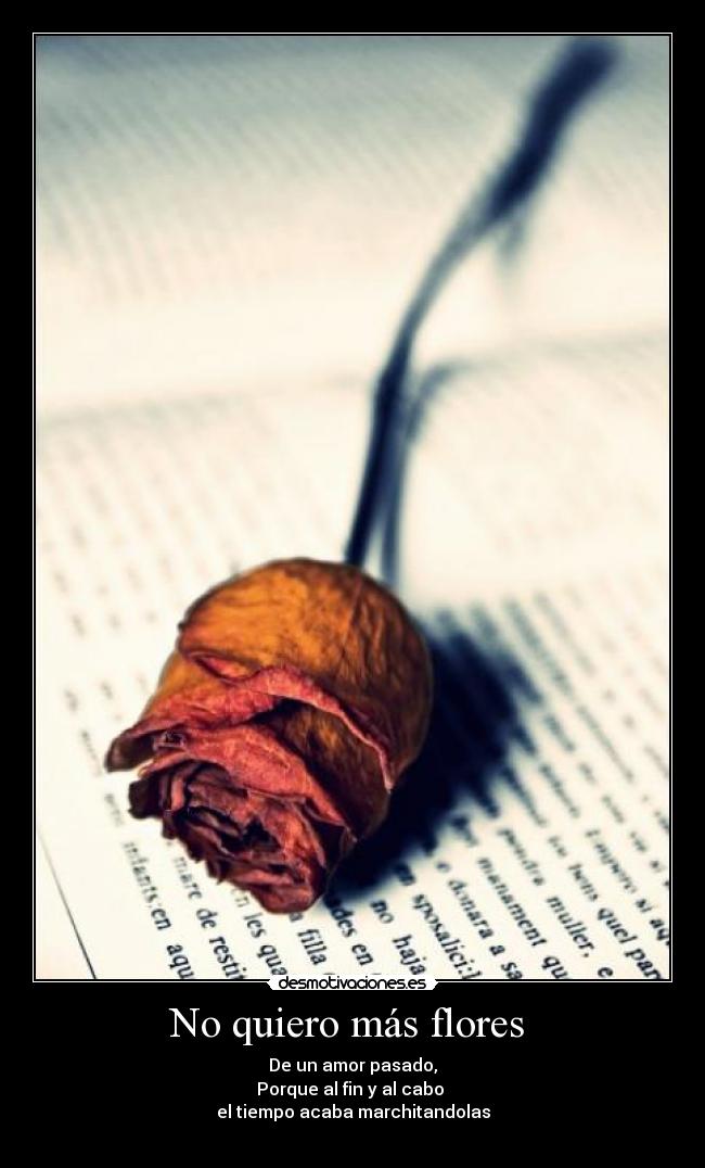 carteles  desmotivaciones