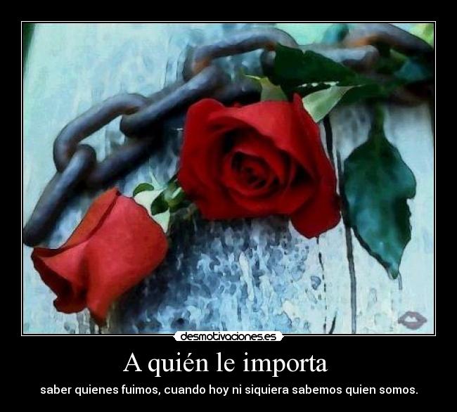 carteles quin importa desmotivaciones