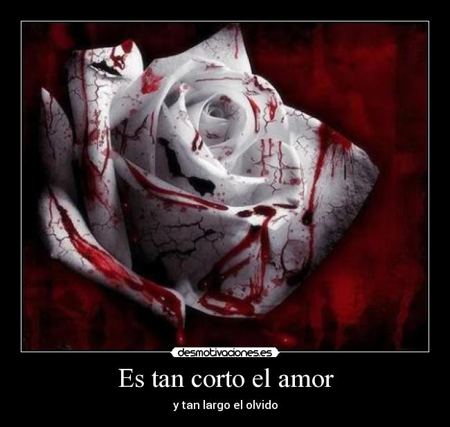 Es tan corto el amor - y tan largo el olvido