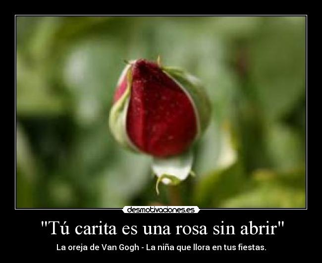 Tú carita es una rosa sin abrir - 