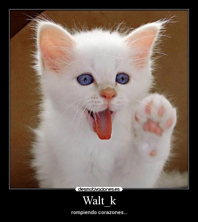 Walt_k - rompiendo corazones...