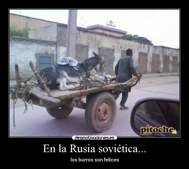  En la Rusia soviética...  - los burros son felices