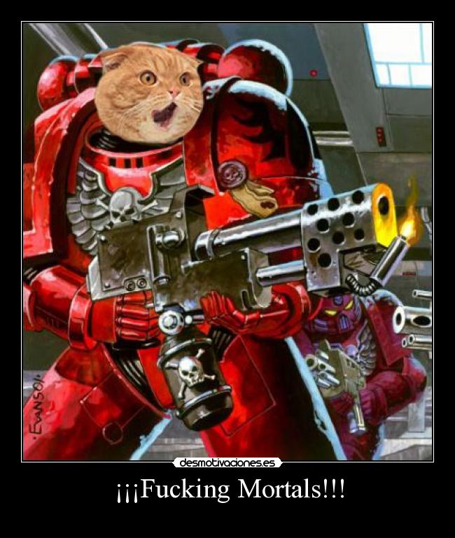 carteles puto gatosasesino acabara con raza humana desmotivaciones