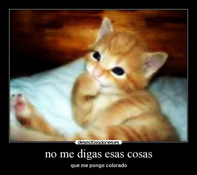 no me digas esas cosas - 