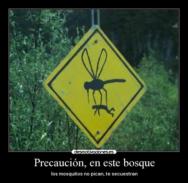 Precaución, en este bosque - los mosquitos no pican, te secuestran