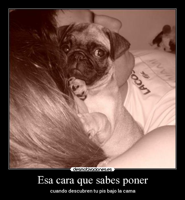 Esa cara que sabes poner - 