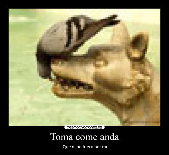 Toma come anda -