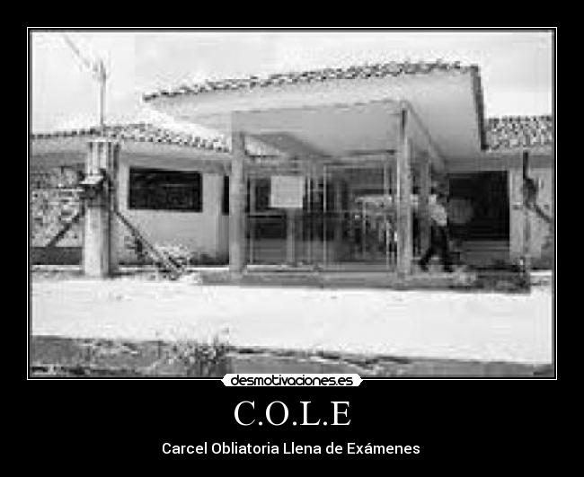 C.O.L.E - 